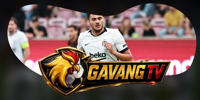 Dự Đoán Trận Besiktas JK Vs Hradec Kralove 00h00 14/08