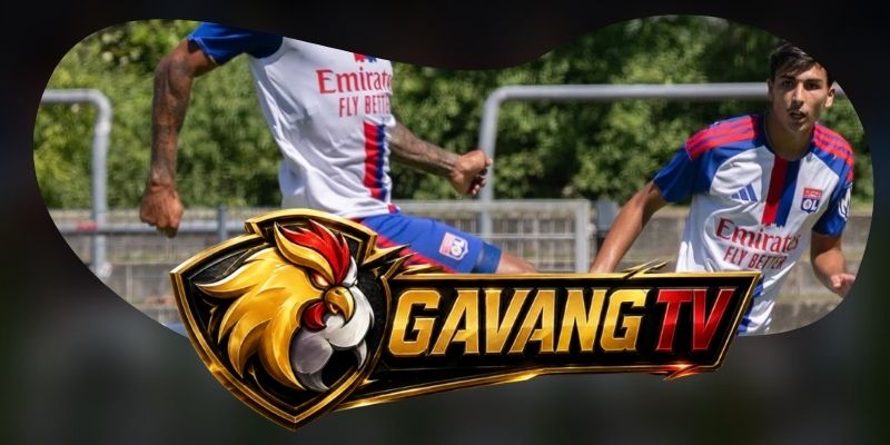 Dự Đoán Trận Fenerbahce Vs Lyon 02h00 19/08