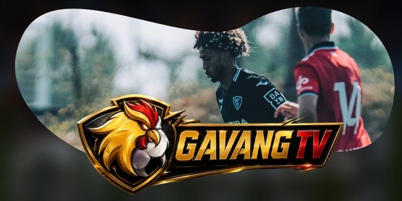 Tổng hợp kèo Viseu vs Santa Clara ngày 16/08 theo vùng nóng