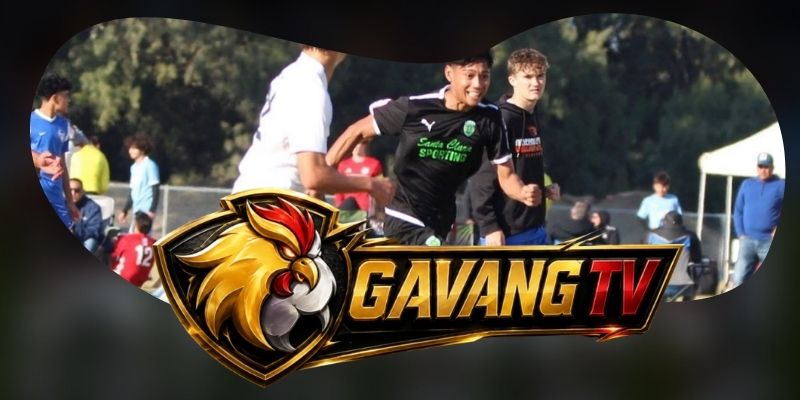Dự Đoán Trận Viseu Vs Santa Clara 00h00 16/08